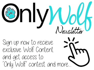 Only Wolf Newsletter